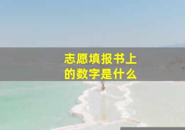 志愿填报书上的数字是什么