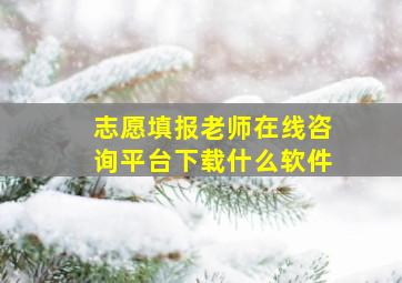 志愿填报老师在线咨询平台下载什么软件