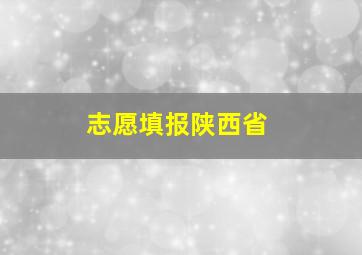 志愿填报陕西省