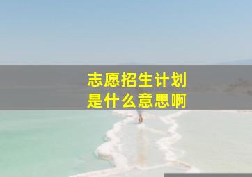 志愿招生计划是什么意思啊