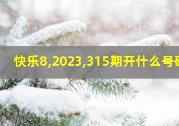 快乐8,2023,315期开什么号码