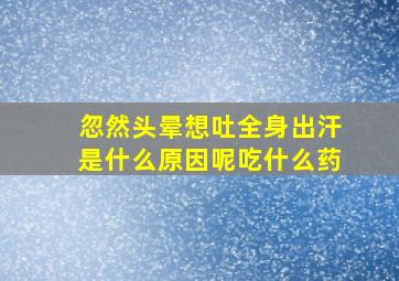 忽然头晕想吐全身出汗是什么原因呢吃什么药