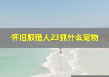 怀旧服猎人23抓什么宠物