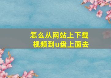 怎么从网站上下载视频到u盘上面去