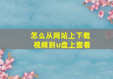 怎么从网站上下载视频到u盘上面看