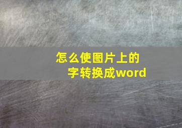 怎么使图片上的字转换成word