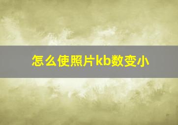 怎么使照片kb数变小