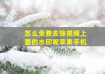 怎么免费去除视频上面的水印呢苹果手机