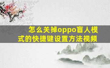 怎么关掉oppo盲人模式的快捷键设置方法视频