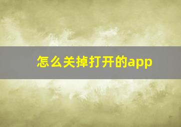 怎么关掉打开的app