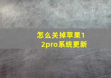 怎么关掉苹果12pro系统更新