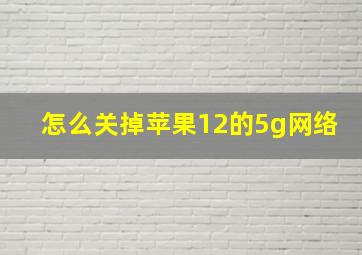 怎么关掉苹果12的5g网络