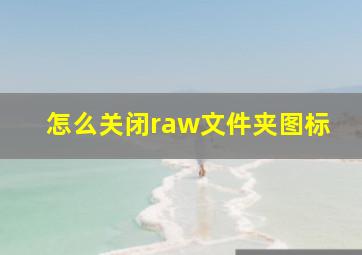 怎么关闭raw文件夹图标