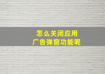 怎么关闭应用广告弹窗功能呢