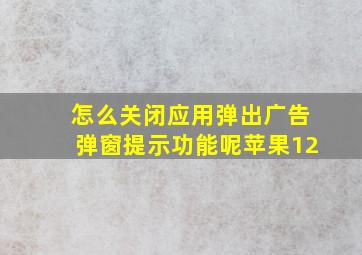 怎么关闭应用弹出广告弹窗提示功能呢苹果12