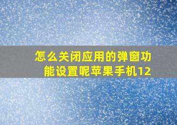 怎么关闭应用的弹窗功能设置呢苹果手机12