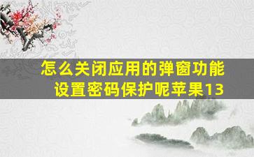 怎么关闭应用的弹窗功能设置密码保护呢苹果13