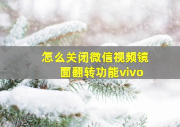 怎么关闭微信视频镜面翻转功能vivo