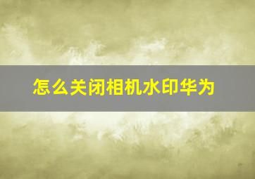 怎么关闭相机水印华为