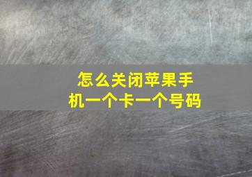 怎么关闭苹果手机一个卡一个号码