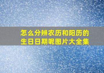 怎么分辨农历和阳历的生日日期呢图片大全集