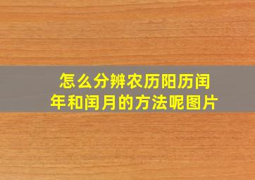 怎么分辨农历阳历闰年和闰月的方法呢图片