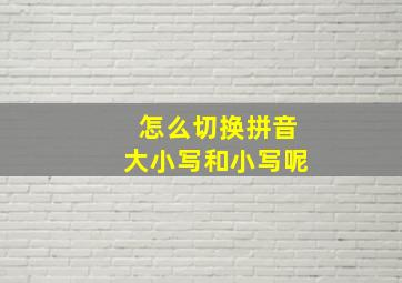 怎么切换拼音大小写和小写呢