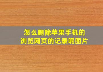 怎么删除苹果手机的浏览网页的记录呢图片