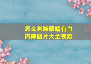 怎么判断眼睛有白内障图片大全视频