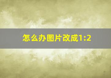 怎么办图片改成1:2