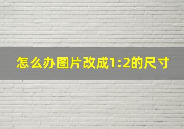 怎么办图片改成1:2的尺寸