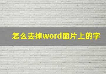 怎么去掉word图片上的字