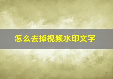 怎么去掉视频水印文字