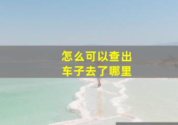 怎么可以查出车子去了哪里