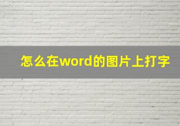 怎么在word的图片上打字