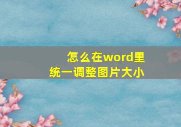 怎么在word里统一调整图片大小