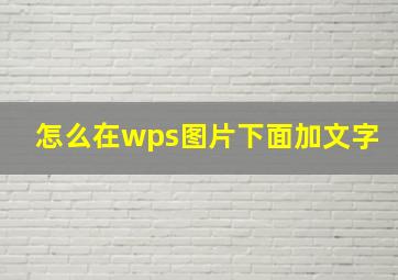 怎么在wps图片下面加文字