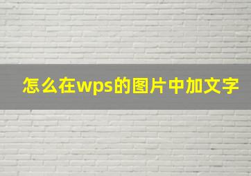 怎么在wps的图片中加文字