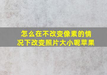 怎么在不改变像素的情况下改变照片大小呢苹果