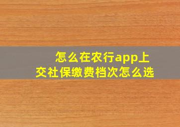 怎么在农行app上交社保缴费档次怎么选