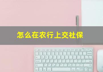 怎么在农行上交社保