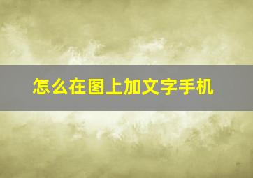 怎么在图上加文字手机