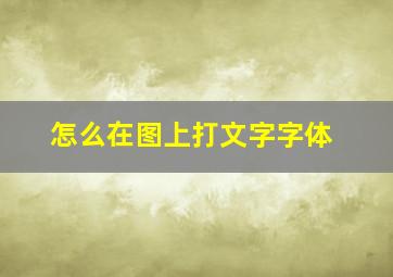 怎么在图上打文字字体