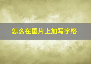 怎么在图片上加写字格