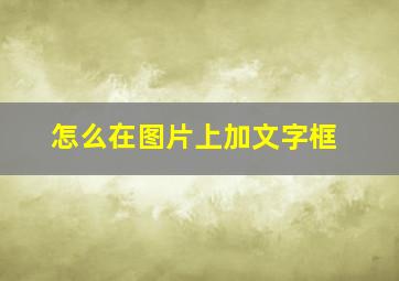 怎么在图片上加文字框