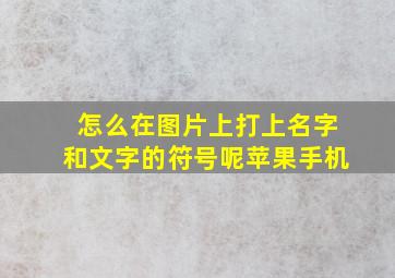 怎么在图片上打上名字和文字的符号呢苹果手机