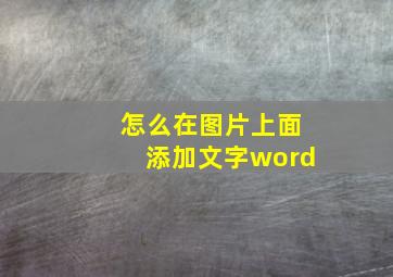 怎么在图片上面添加文字word