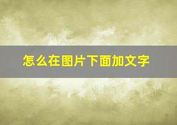 怎么在图片下面加文字