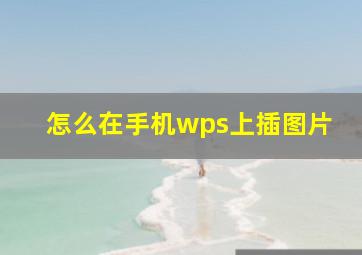 怎么在手机wps上插图片