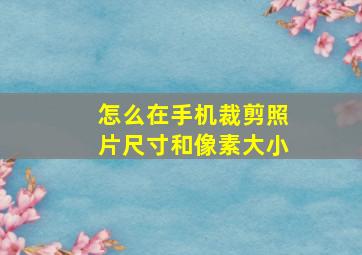 怎么在手机裁剪照片尺寸和像素大小